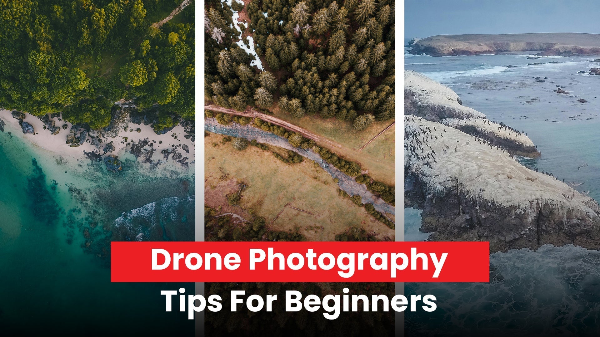Drone Photography Tips For Beginners
