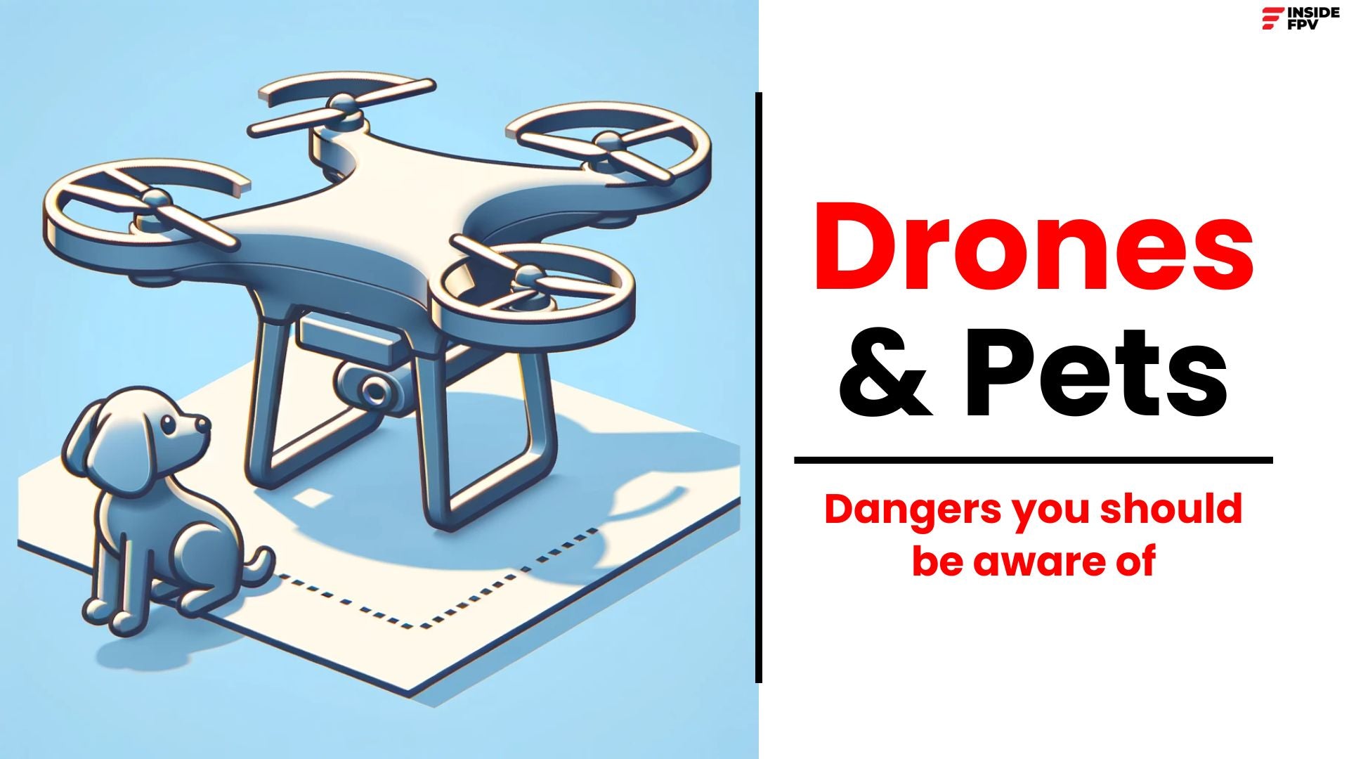 Drones & Pets: A guide to peaceful coexistence