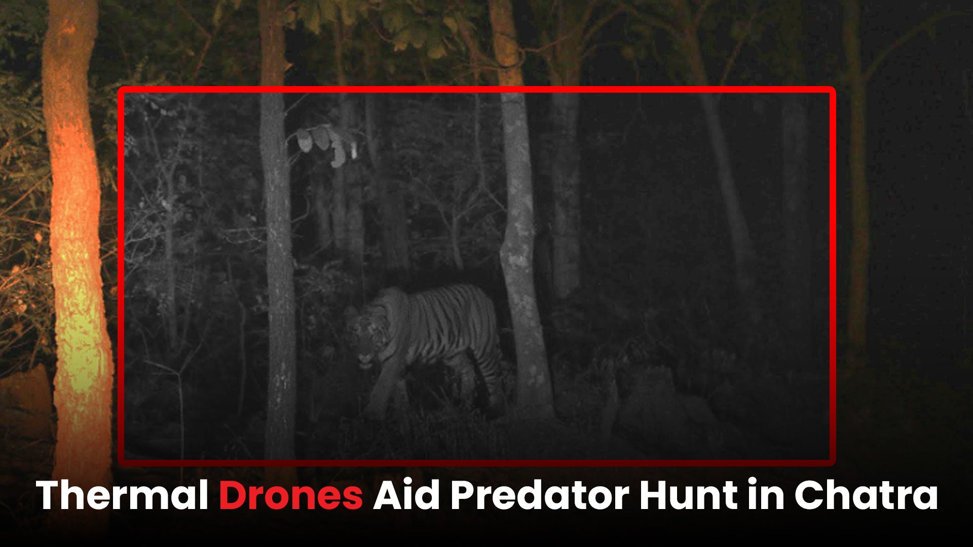 Thermal Drones Aid Predator Hunt in Chatra