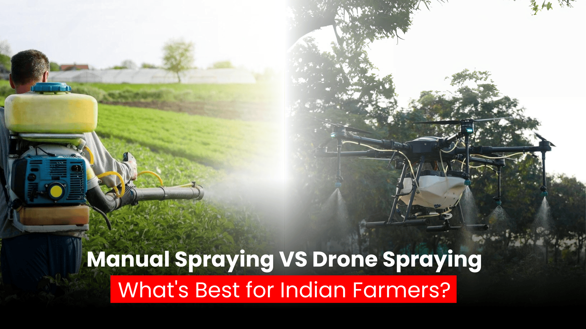 Indian farmer comparing drone spraying with traditional manual pesticide application in the field