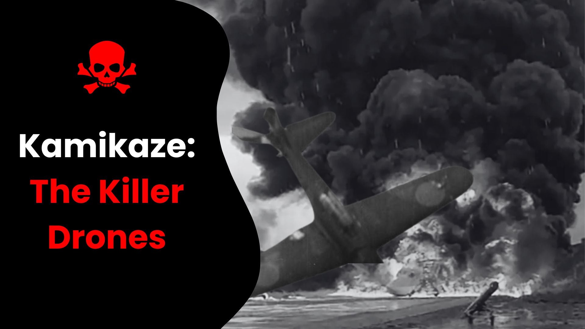 Kamikaze: The Killer drone