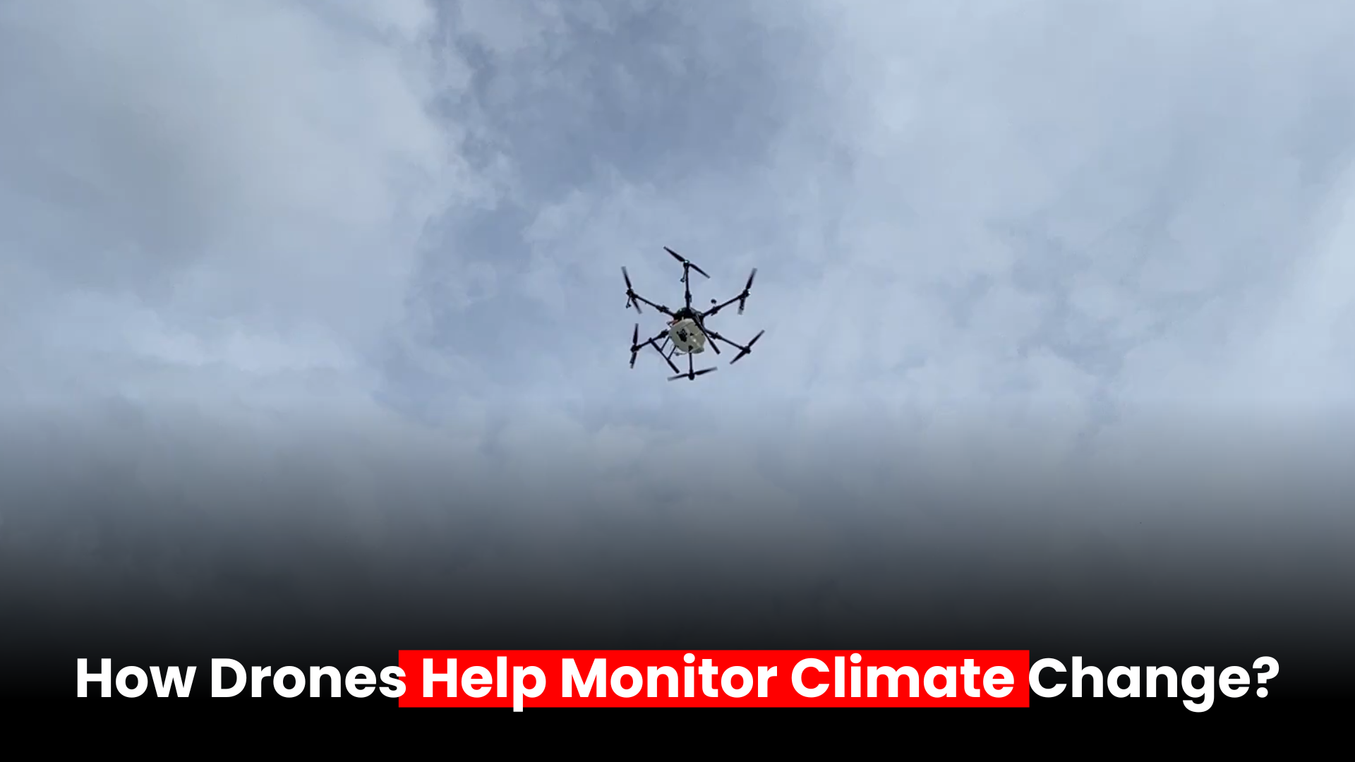 Aerial drone view capturing deforestation patterns for climate monitoring